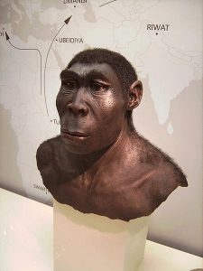 Homo erectus: master of fire and inventor of cooking